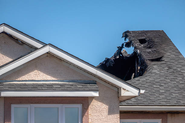 Top rated local Odor Removal specialists in Perkiomenville, PA
